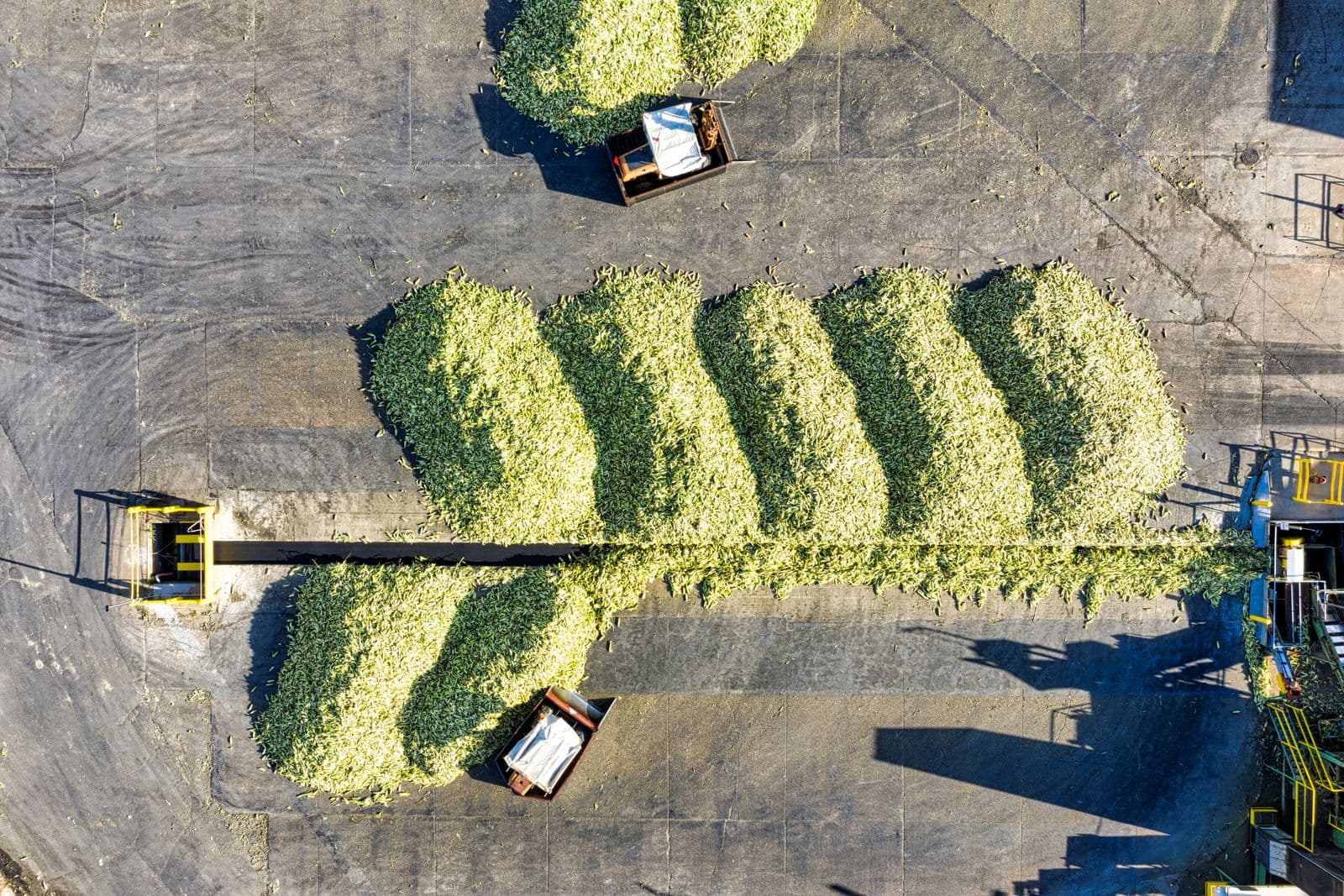 Ethanol photo
